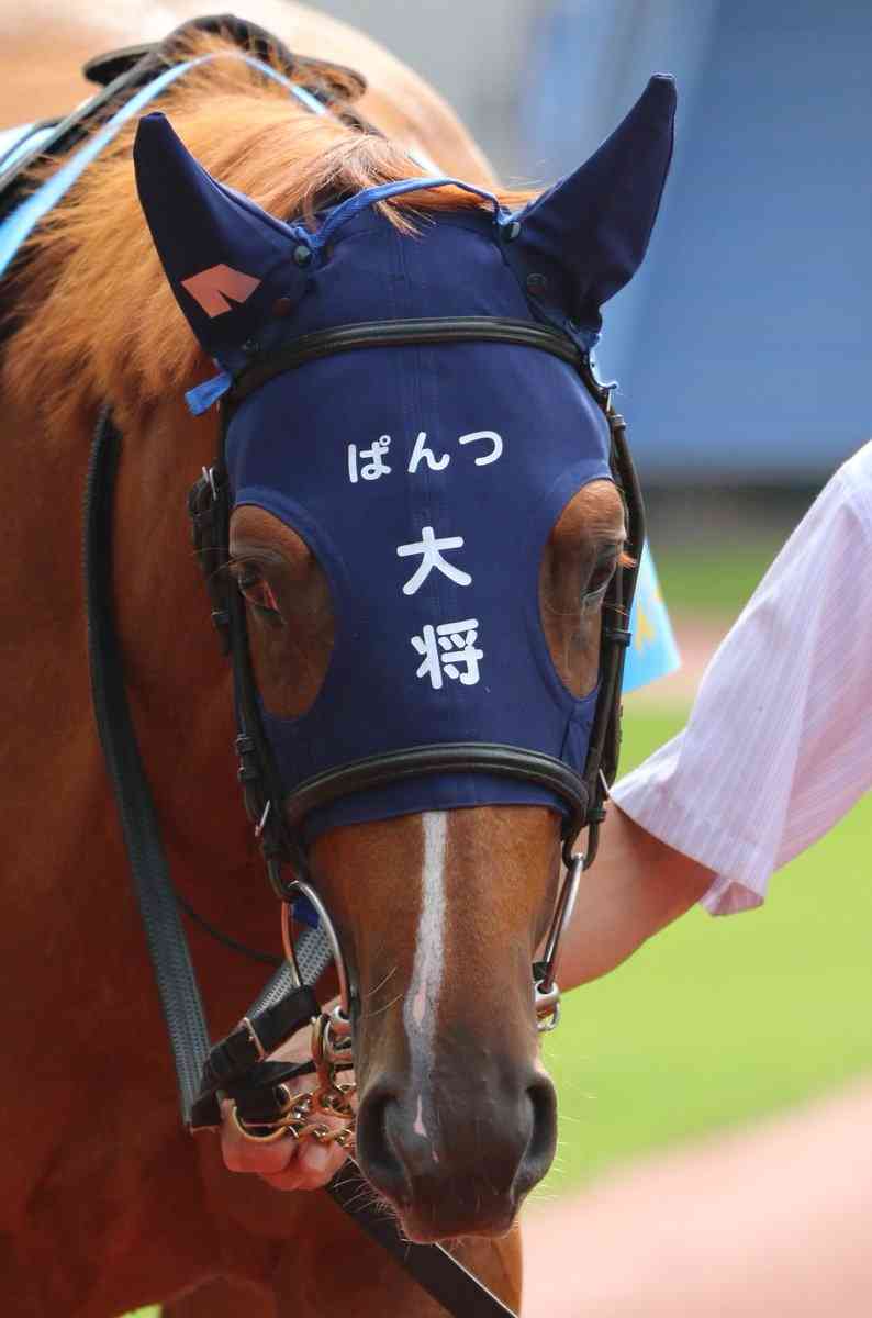 【競馬】UMAJO集まれ！ part 27【アンチ厳禁】
