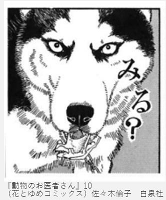 アニメや漫画に出てくる動物をもし実写化したら？を探そう