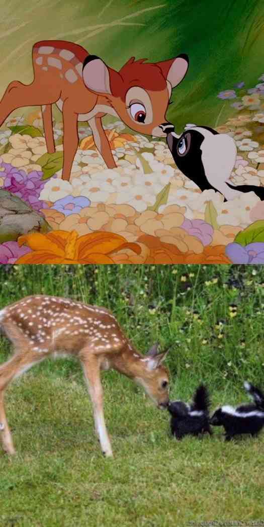 アニメや漫画に出てくる動物をもし実写化したら？を探そう