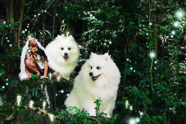アニメや漫画に出てくる動物をもし実写化したら？を探そう