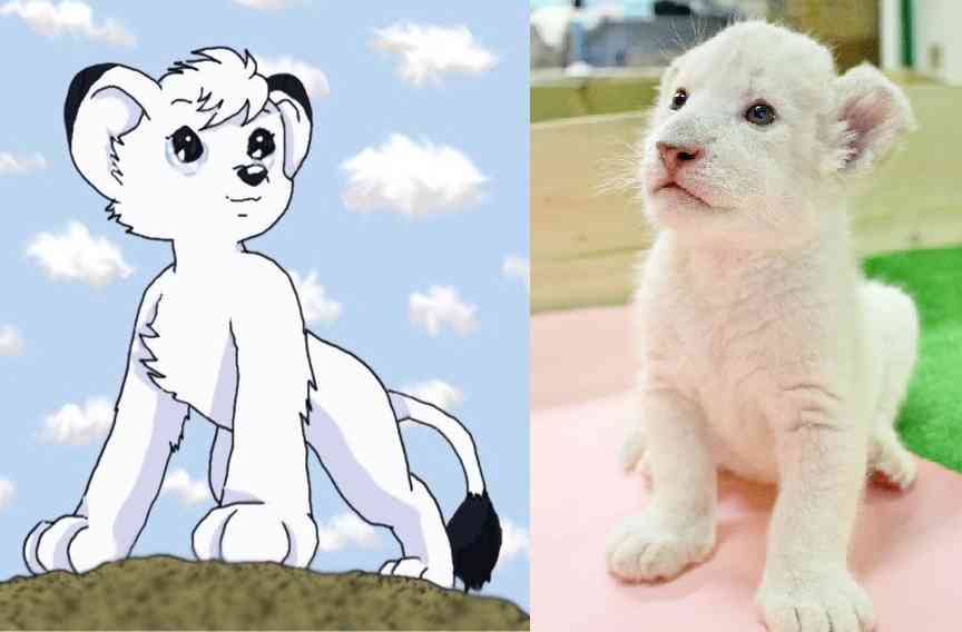 アニメや漫画に出てくる動物をもし実写化したら？を探そう