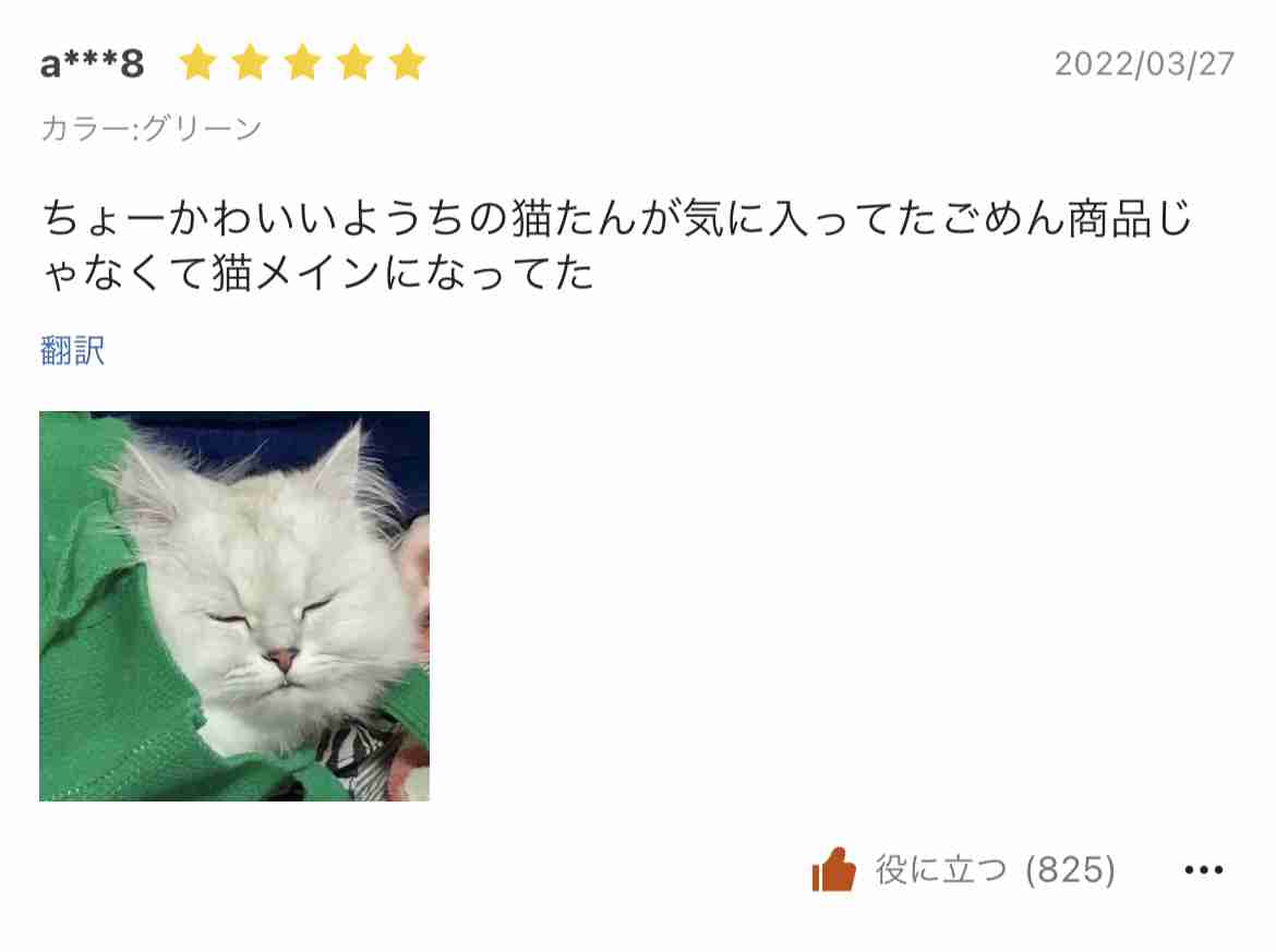 【教えて】SHEINで買い物したことある方