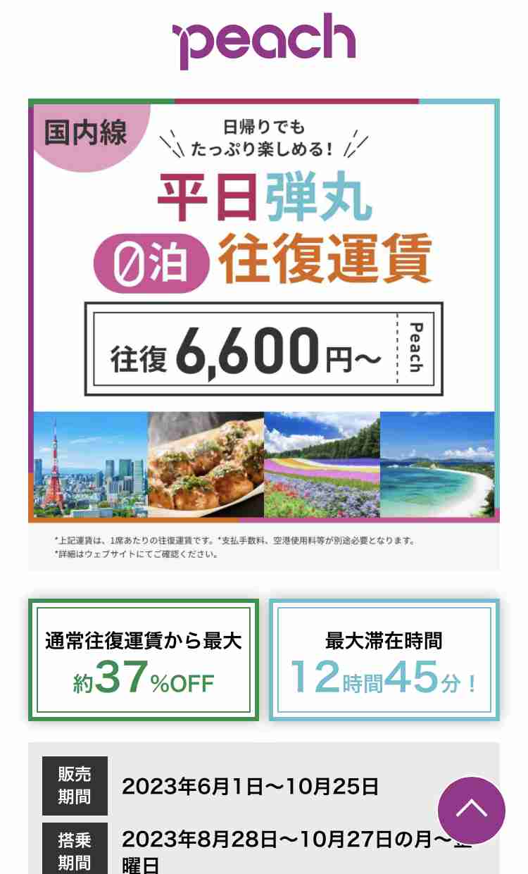 飛行機を使った日帰り旅行