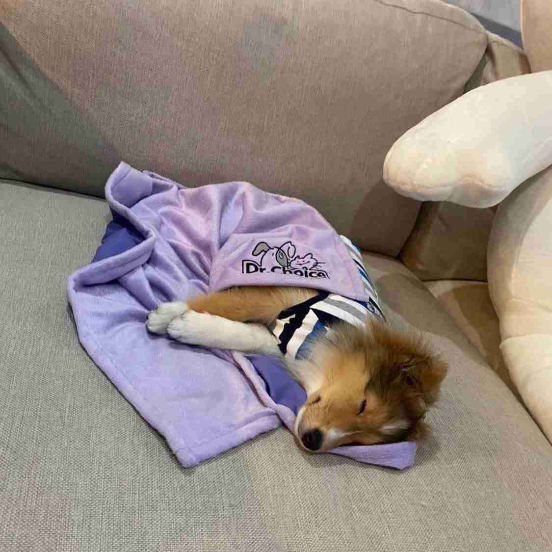 【定期】2gether the seriesについて話そう Part40【タイBL】