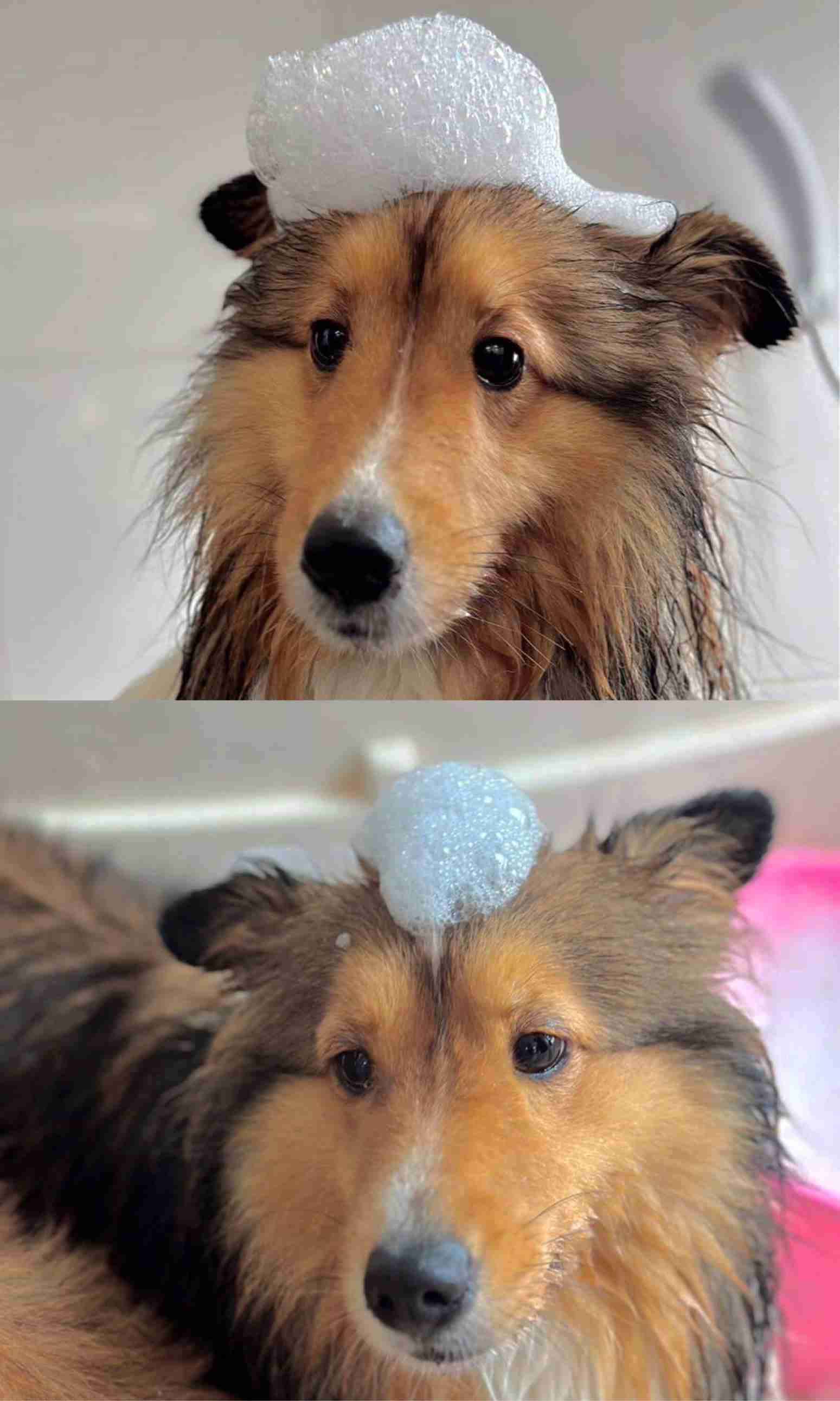 【定期】2gether the seriesについて話そう Part40【タイBL】