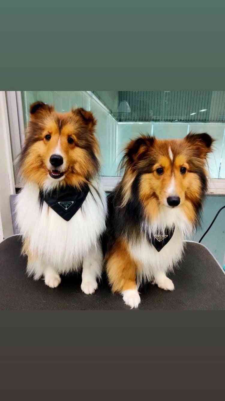 【定期】2gether the seriesについて話そう Part40【タイBL】