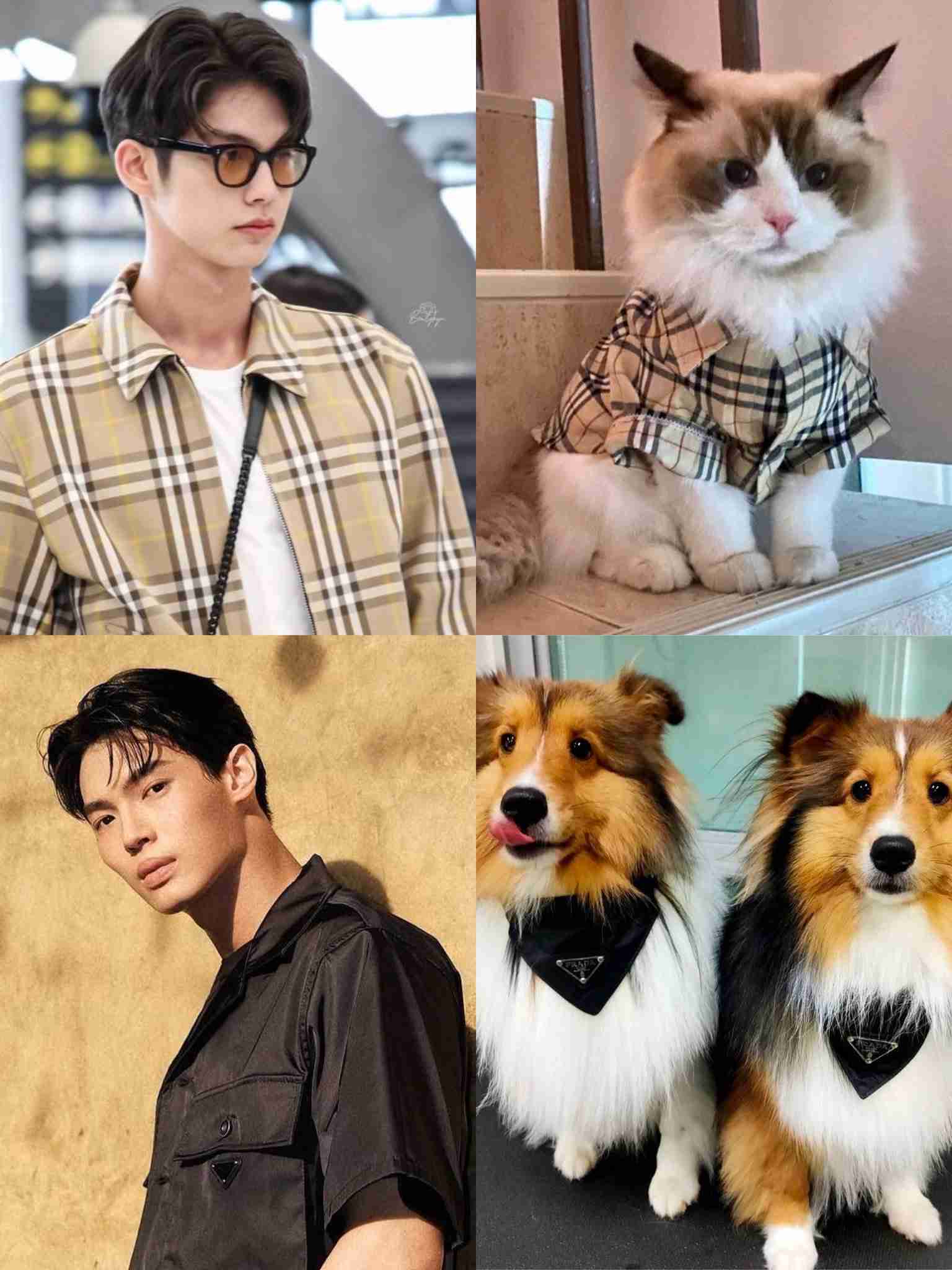 【定期】2gether the seriesについて話そう Part40【タイBL】