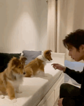 【定期】2gether the seriesについて話そう Part40【タイBL】