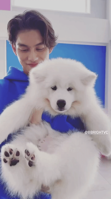 【定期】2gether the seriesについて話そう Part40【タイBL】