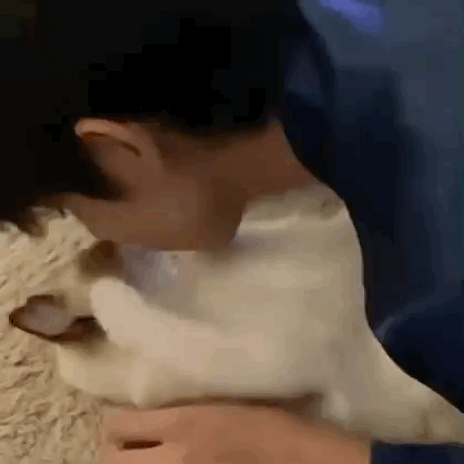 【定期】2gether the seriesについて話そう Part40【タイBL】