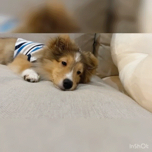 【定期】2gether the seriesについて話そう Part40【タイBL】