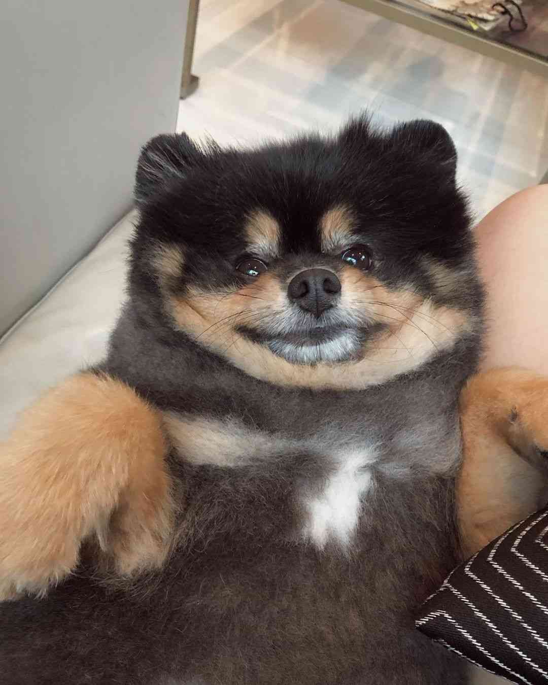 【定期】2gether the seriesについて話そう Part40【タイBL】