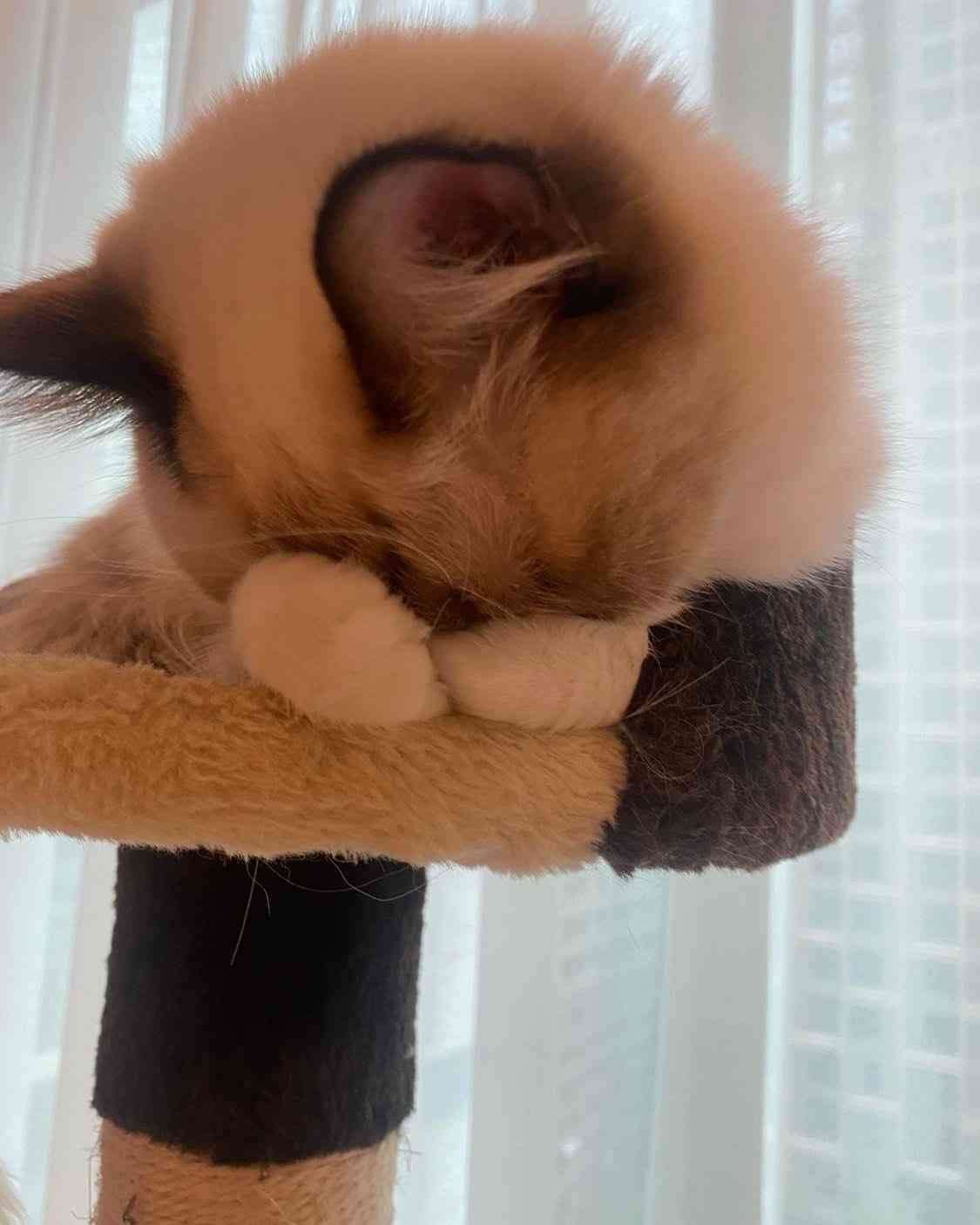 【定期】2gether the seriesについて話そう Part40【タイBL】