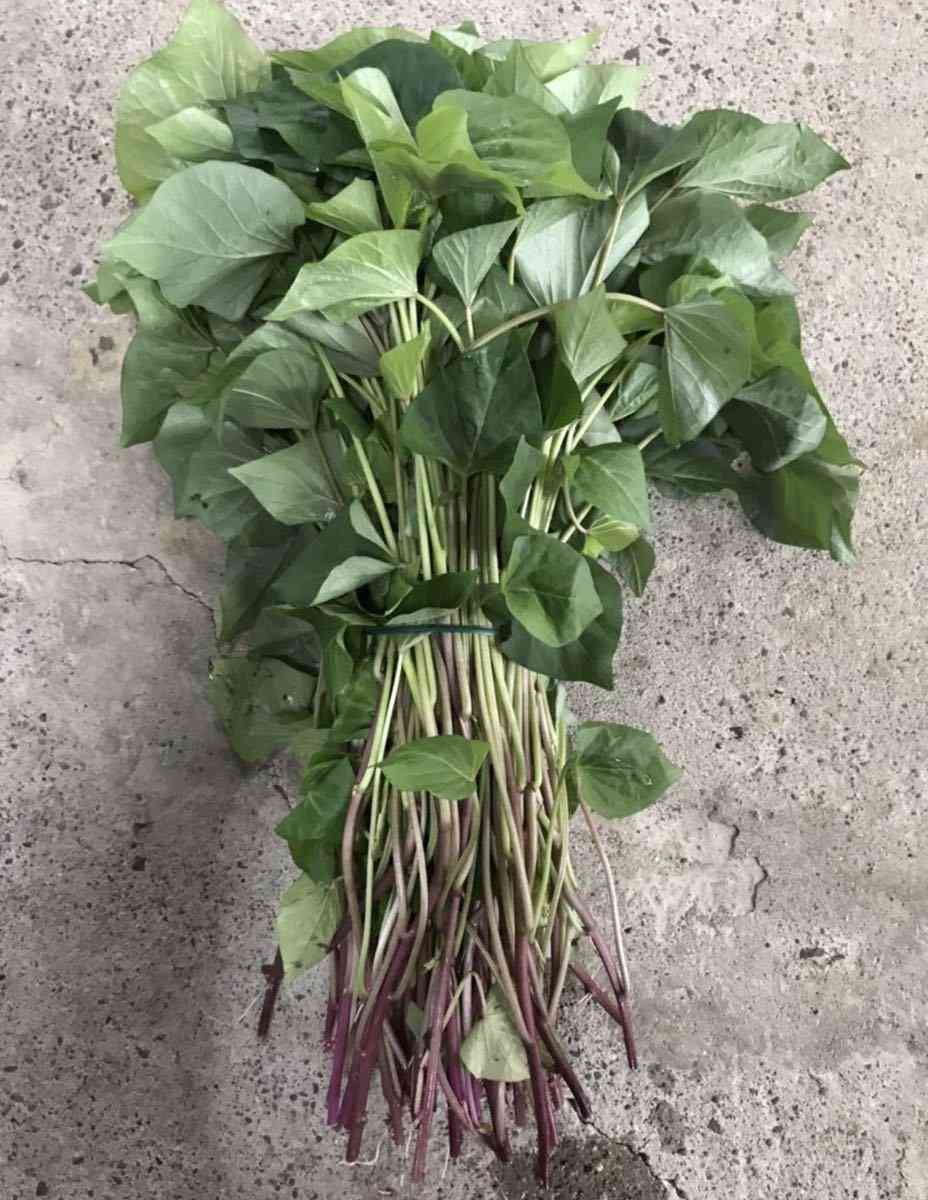 鳥羽シェフ、不倫発覚後の映画チケット販売　監督は公開に難色「恩を仇で返したくない」　予告に妻子の姿