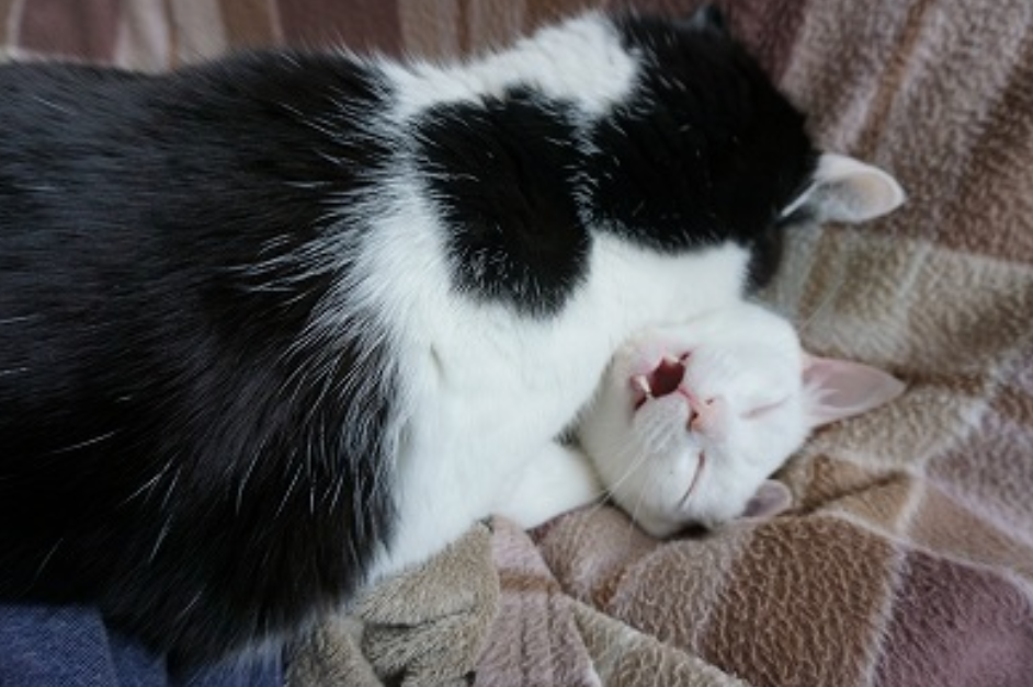 「学校で周りを気にせずディープキス」「トイレでの性行為に盛り上がって…」17歳で留学した私が驚いた“アメリカ人の恋愛事情”