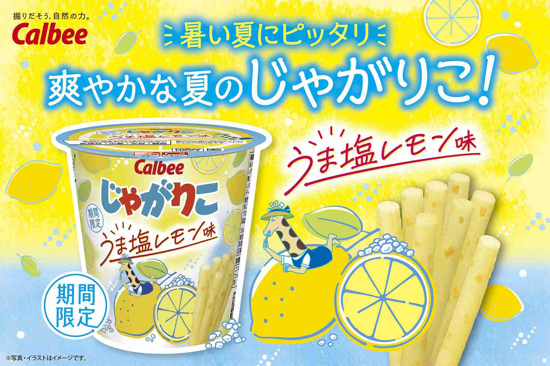 こんなお菓子見つけたよ!情報交換