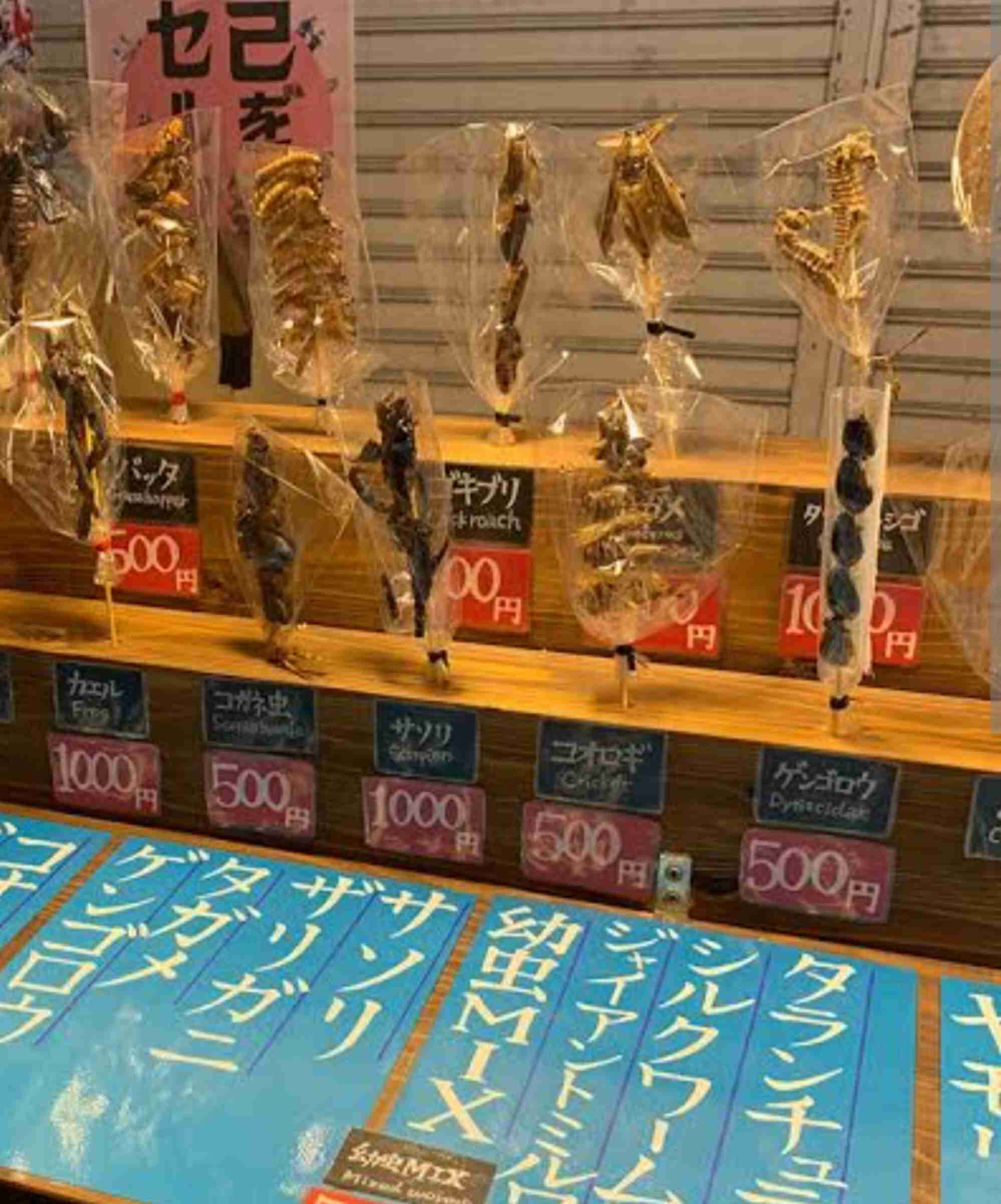 この観光地に行ったガル民がいたら感想を聞かせてください