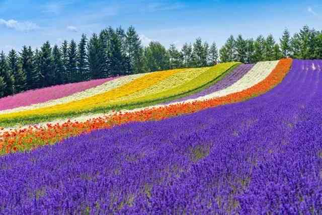 この観光地に行ったガル民がいたら感想を聞かせてください
