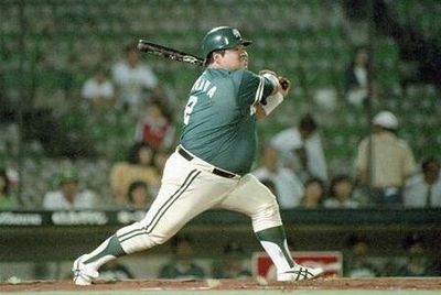 日本ハムファイターズを応援し隊