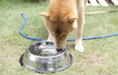 ちょっと一言　〜画像を添えて〜part4