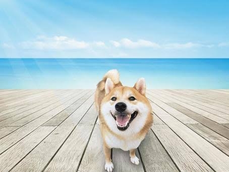 ちょっと一言　〜画像を添えて〜part4