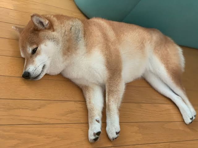 ちょっと一言　〜画像を添えて〜part4