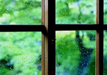ちょっと一言　〜画像を添えて〜part4