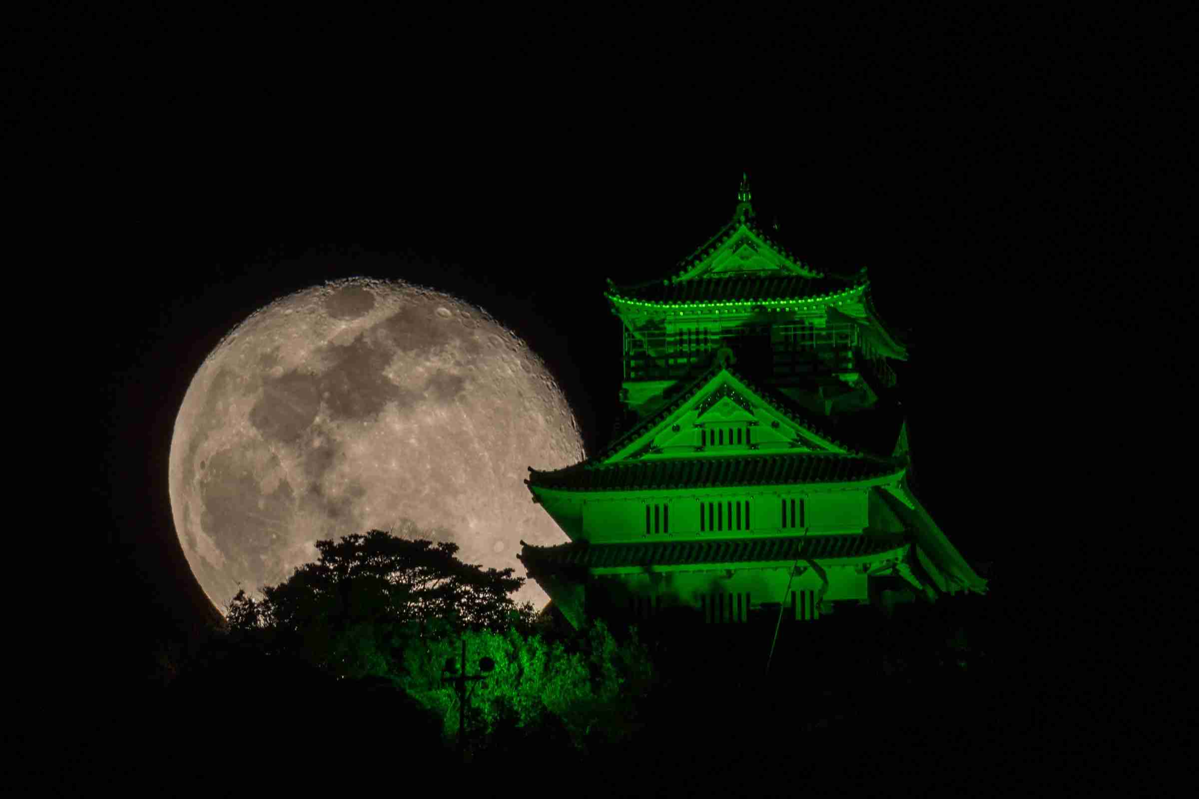 ちょっと一言　〜画像を添えて〜part4