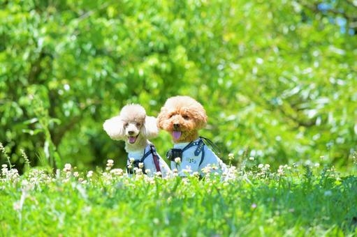 ちょっと一言　〜画像を添えて〜part4