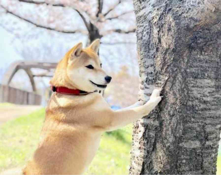 ちょっと一言　〜画像を添えて〜part4
