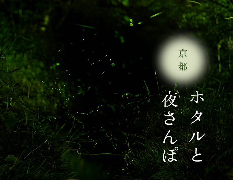 ちょっと一言　〜画像を添えて〜part4