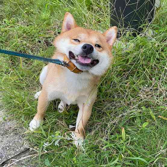 ちょっと一言　〜画像を添えて〜part4
