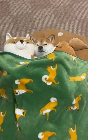 ちょっと一言　〜画像を添えて〜part4