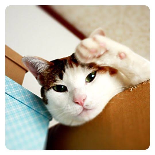ちょっと一言　〜画像を添えて〜part4