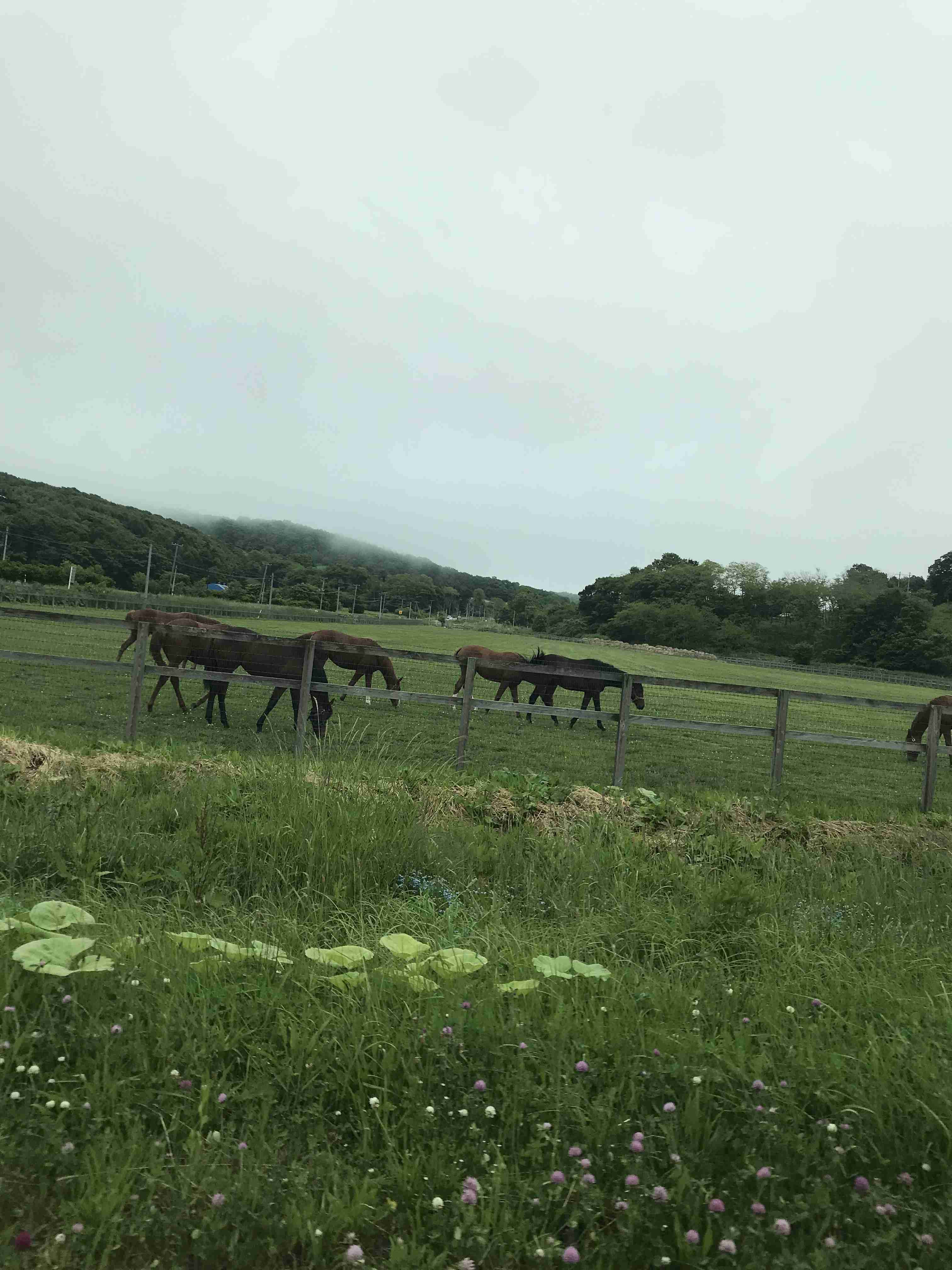 ちょっと一言　〜画像を添えて〜part4