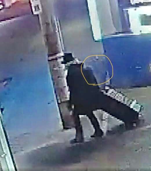【ススキノ頭部なし遺体】事件10日前に札幌市内で起こっていた「猫の頭部放置事件」　　捜査難航で地元メディアで話題に