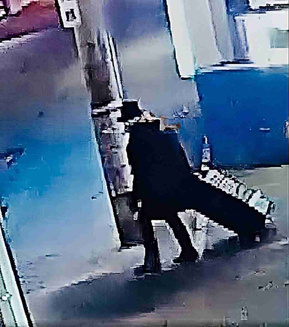 【ススキノ頭部なし遺体】事件10日前に札幌市内で起こっていた「猫の頭部放置事件」　　捜査難航で地元メディアで話題に