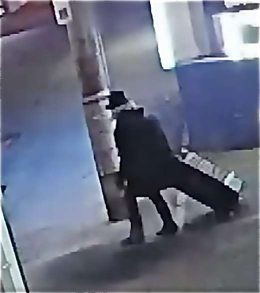 【ススキノ頭部なし遺体】事件10日前に札幌市内で起こっていた「猫の頭部放置事件」　　捜査難航で地元メディアで話題に