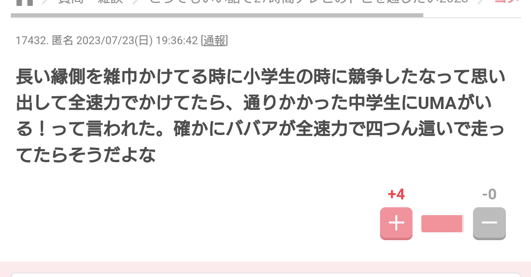 片付け上手な人が片付けベタにアドバイスしてください!