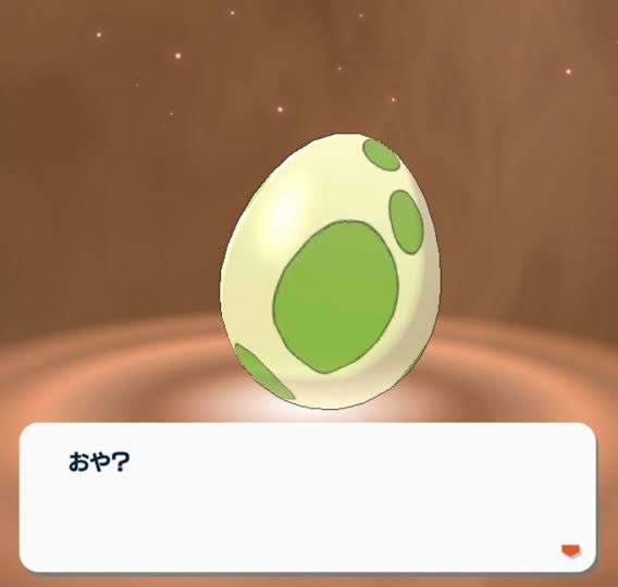 【酷暑】常温管理で平気なのか気になる物