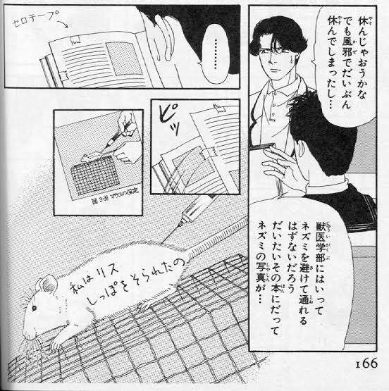 グラウンドに思わぬ珍客!リスの登場に試合一時中断 選手らは一度ベンチへ/北北海道