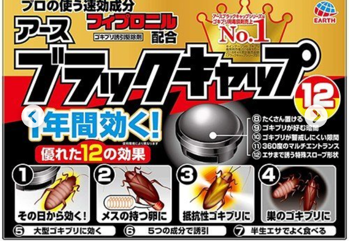 北海道から関東に引っ越し、Gが怖い