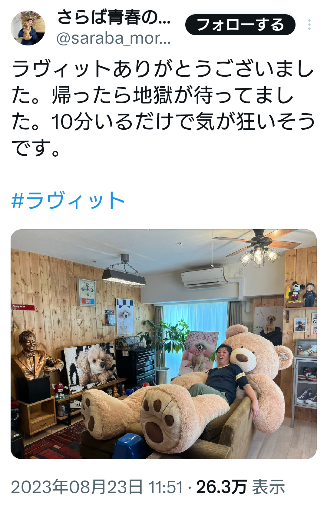 【8月】ラヴィット！好きな人集合【実況】