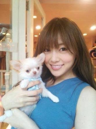 犬の性格と飼っている環境