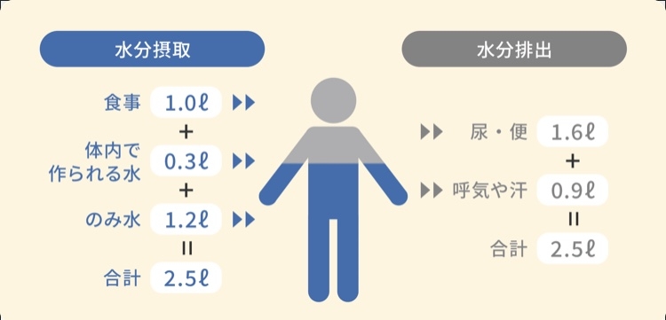 多くの小中学生が「寝不足」、6割が睡眠不足で授業中に居眠りも