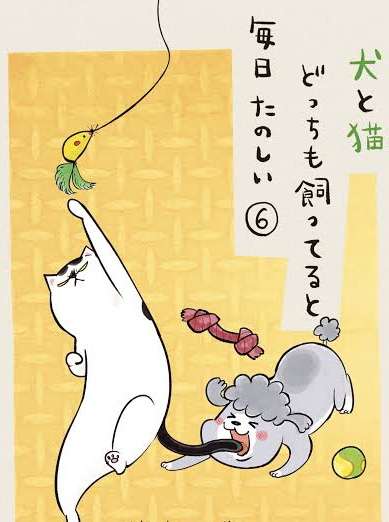 犬猫…両方を飼ってる方❤️