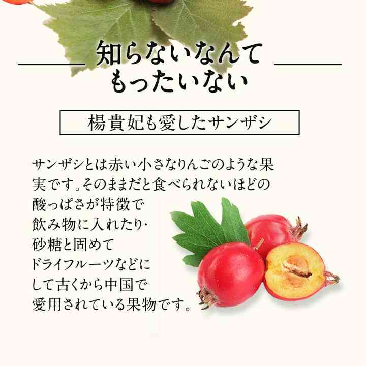 簪(かんざし)を使っている人