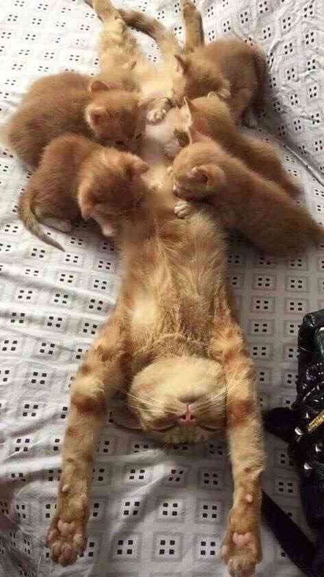 話しとけば良かったと思う人