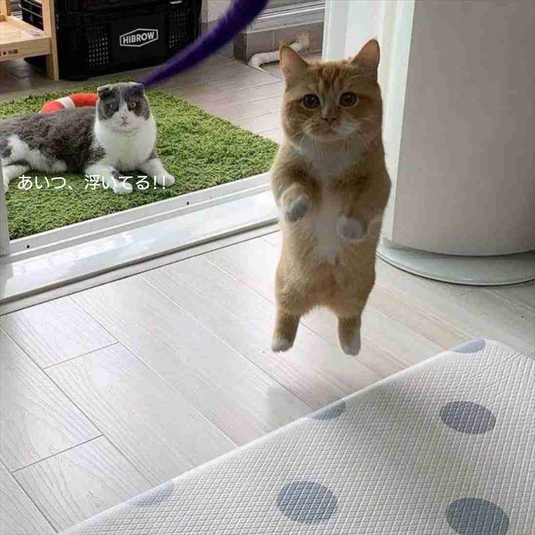 😊みんなと画像で会話したい👍