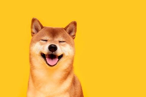 😊みんなと画像で会話したい👍